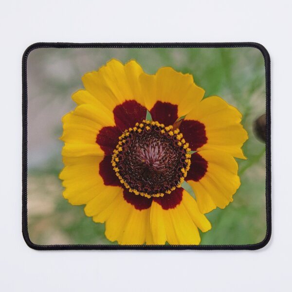 Item preview, Florida wildflower designed and sold by Jmb67.