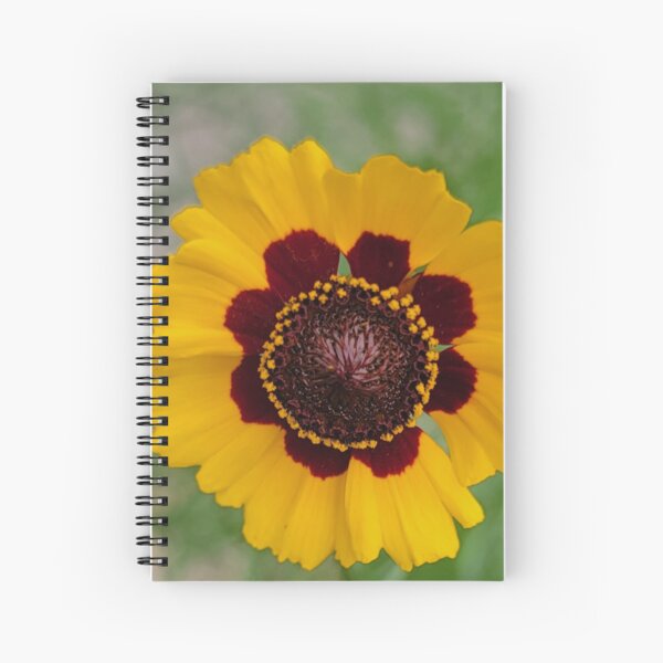 Item preview, Florida wildflower designed and sold by Jmb67.