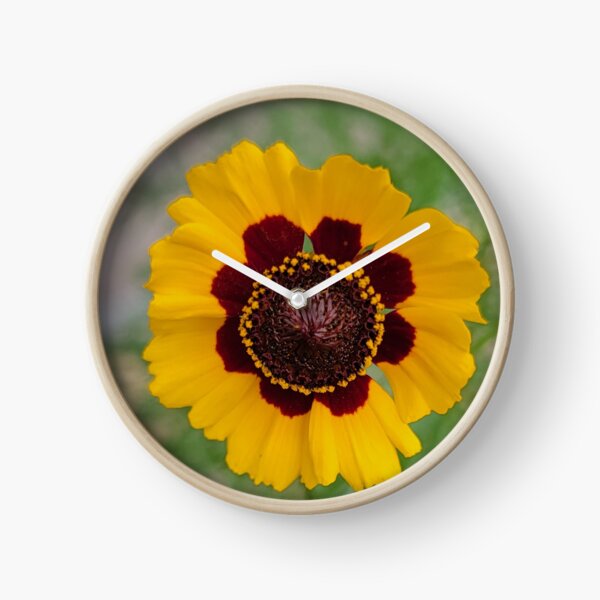 Item preview, Florida wildflower designed and sold by Jmb67.