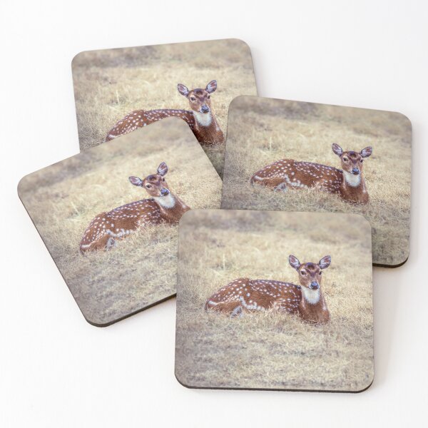 Item preview, Black Buck wildlife Photo designed and sold by Qavi Studios.