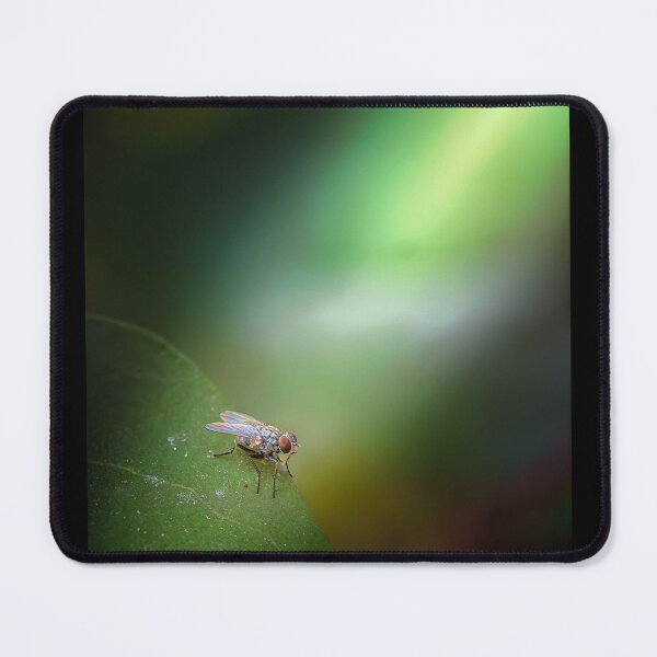 Item preview, Macro Fly Portrait - Nature Photography on Green Leaf with Bokeh designed and sold by AbulailArt.
