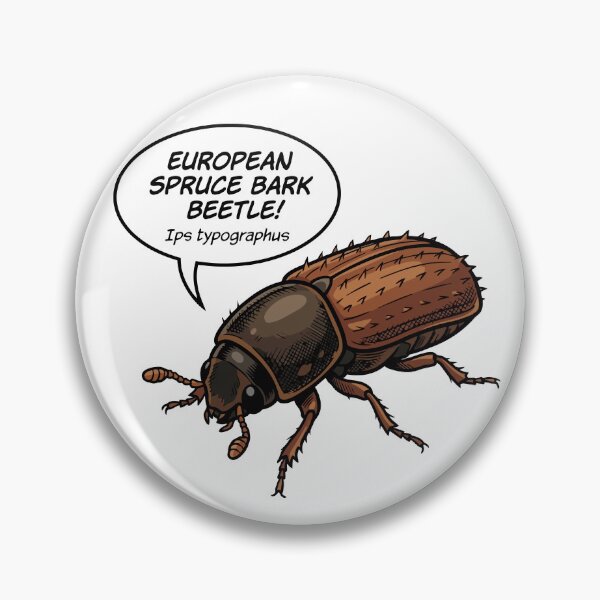 Item preview, European spruce bark beetle (Ips typographus), eight-toothed spruce bark beetle designed and sold by Danler.