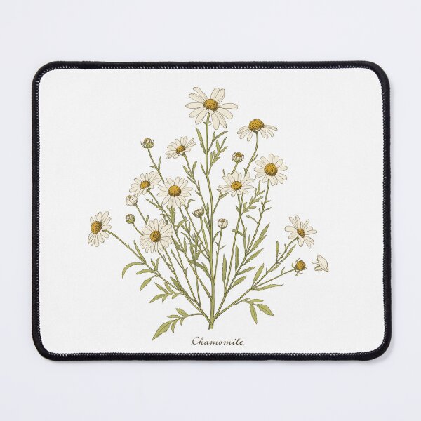 Item preview, Vintage Chamomile Botanical Illustration designed and sold by VintageTips.