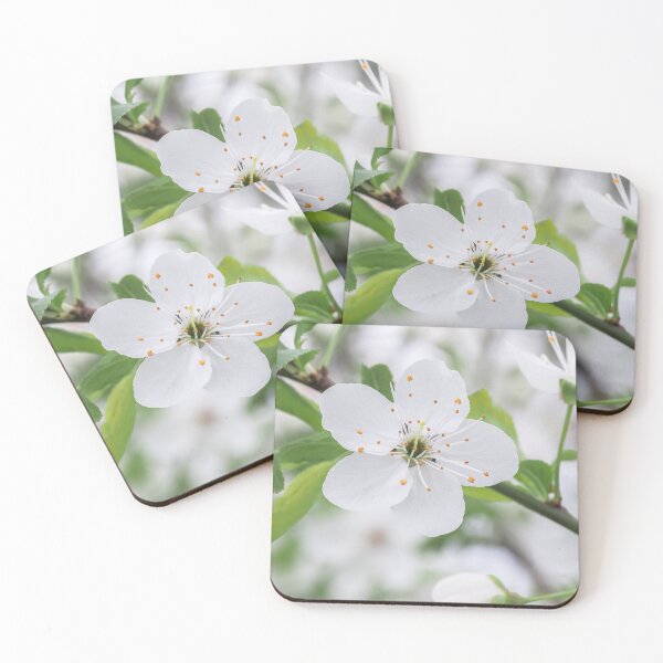 Item preview, white plum blossoms designed and sold by MS.photo.