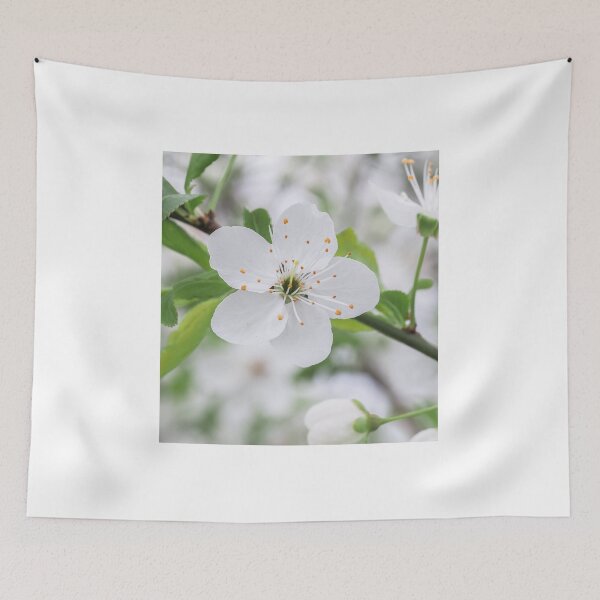 Item preview, white plum blossoms designed and sold by MS.photo.