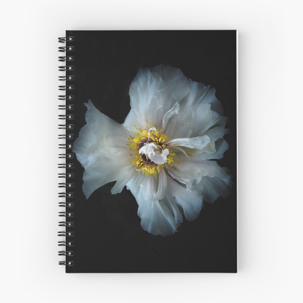 Item preview, Backyard Flowers 49 Color Version designed and sold by The Learning Curve Photography.
