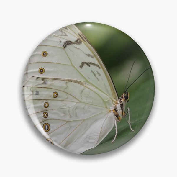 Item preview, White Morpho designed and sold by MS.photo.