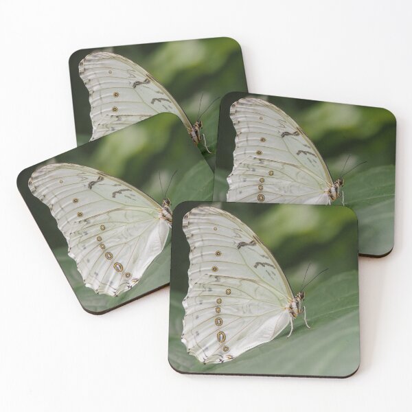Item preview, White Morpho designed and sold by MS.photo.