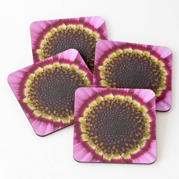 Item preview, Argyranthemum  Grandaisy Pink  Marguerite  Grandaisy Series  designed and sold by Chris Burrows.