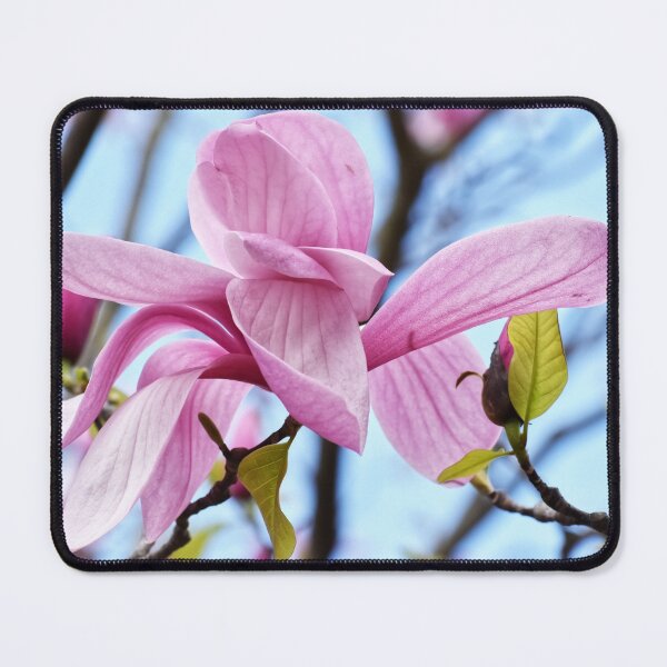 Item preview, Pink Parisian Magnolia designed and sold by StylishDecor.