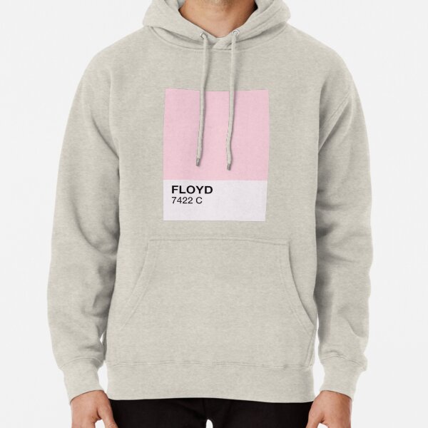 PINK Floyd Sudadera con capucha