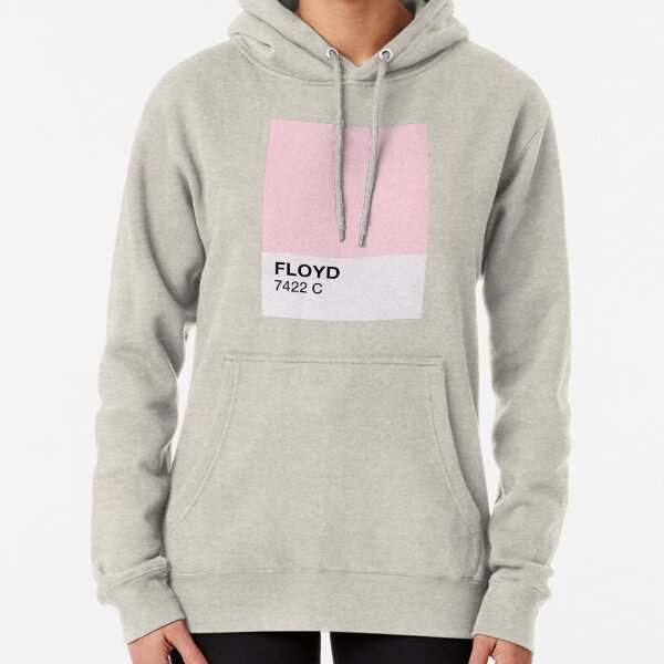 PINK Floyd Sudadera con capucha