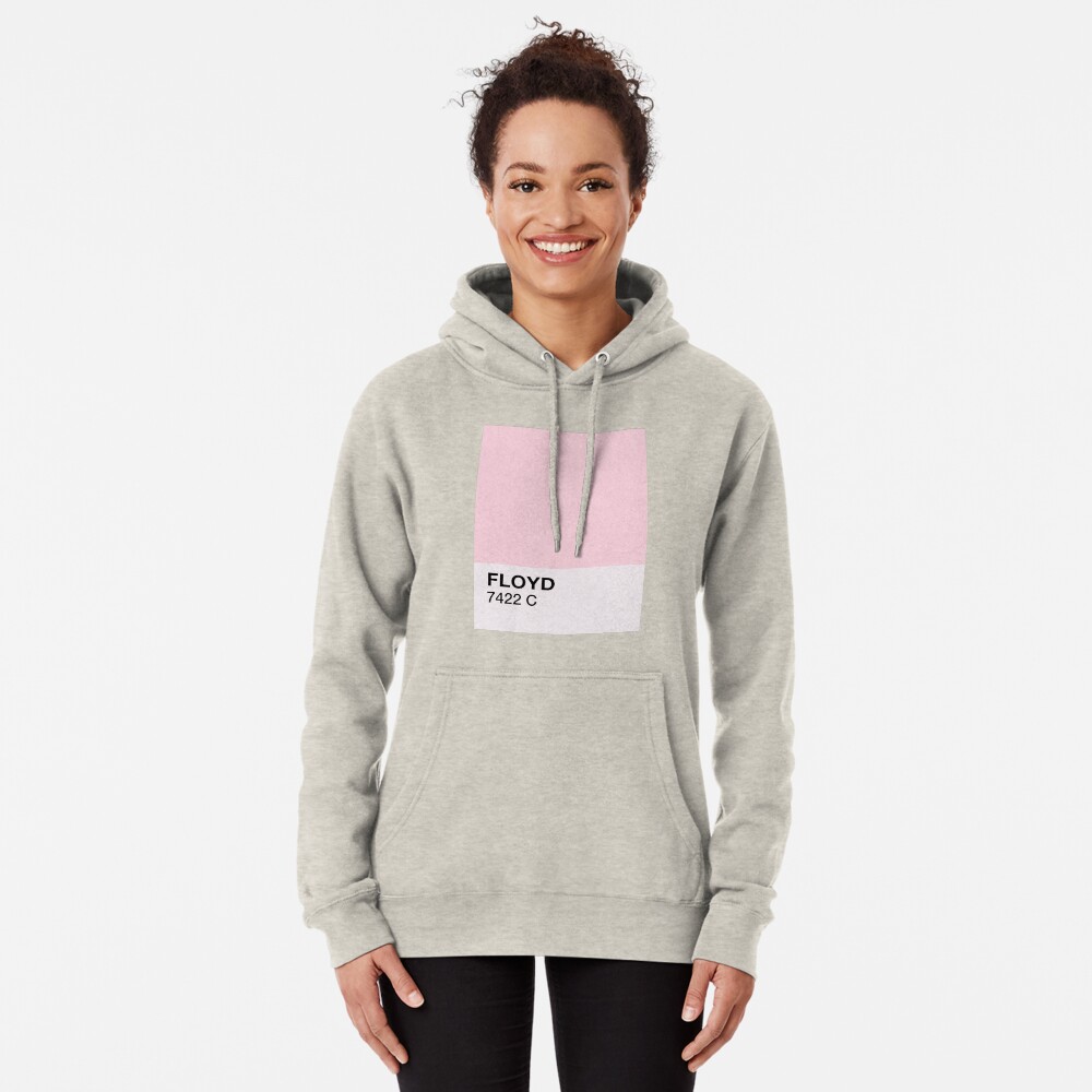 PINK Floyd Sudadera con capucha