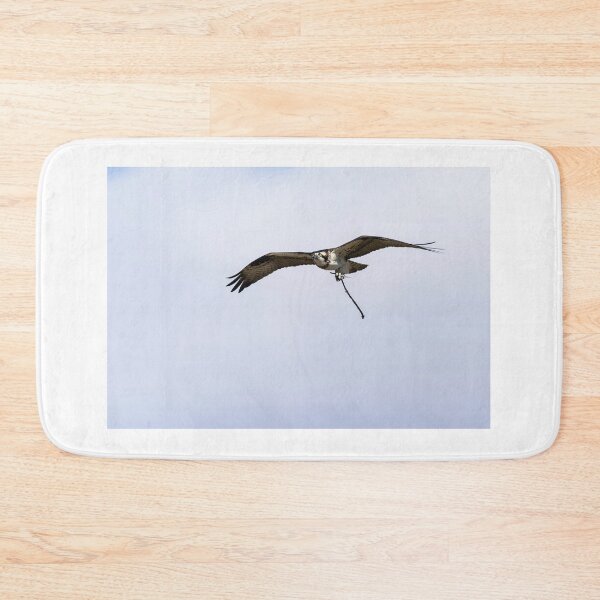 Item preview, Female Osprey with nesting material 4-5-2026. designed and sold by Thomasyoung.