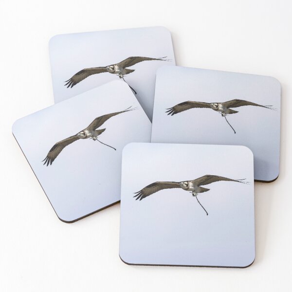 Item preview, Female Osprey with nesting material 4-5-2026. designed and sold by Thomasyoung.