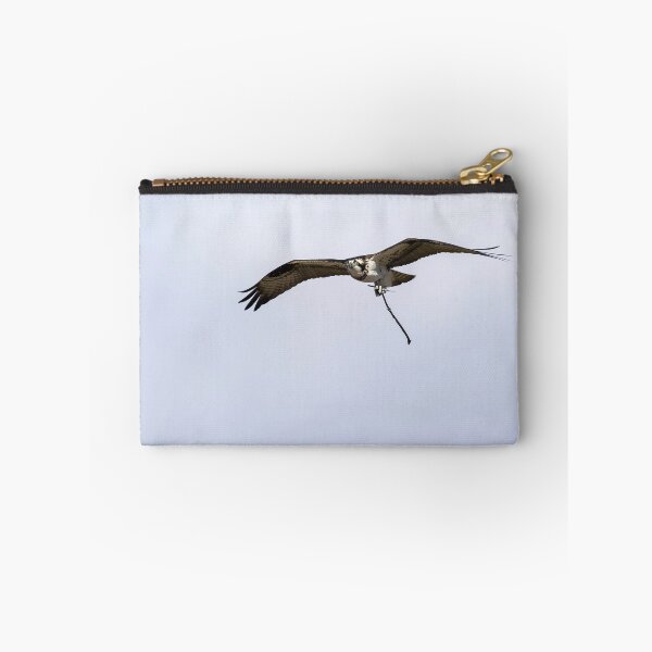 Item preview, Female Osprey with nesting material 4-5-2026. designed and sold by Thomasyoung.