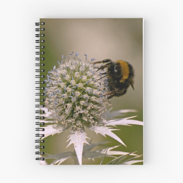 Item preview, Teasel / zumbido designed and sold by SweetLemon.