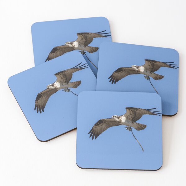 Item preview, Female Osprey with nesting material #2 4-5-2026. designed and sold by Thomasyoung.
