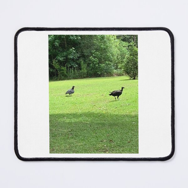 Item preview, Soaring shadows. designed and sold by Pearls1.