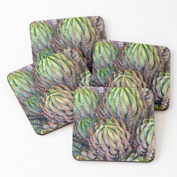 Item preview, Prickly Pear Succulant designed and sold by heatherfriedman.