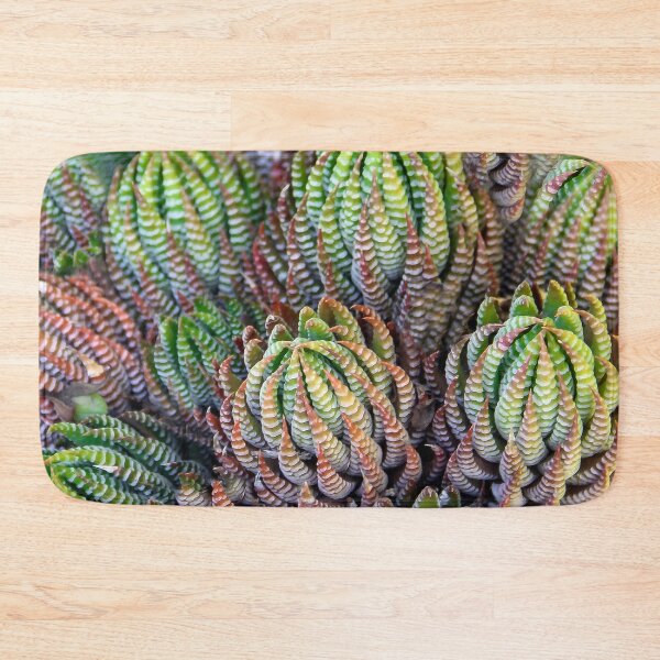 Item preview, Prickly Pear Succulant designed and sold by heatherfriedman.