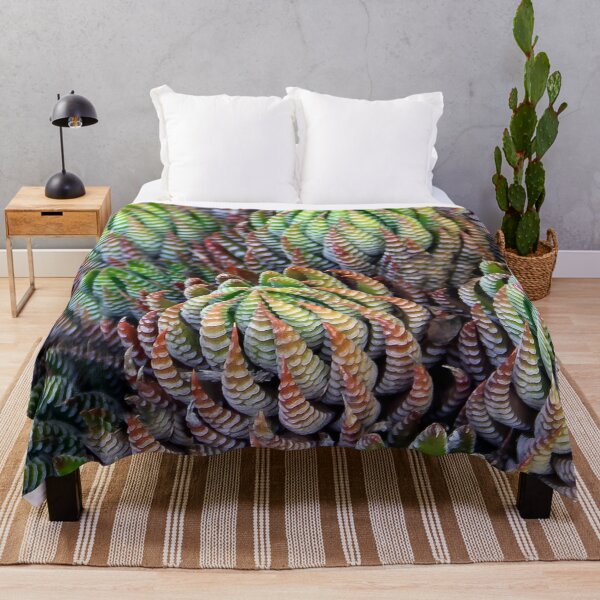 Item preview, Prickly Pear Succulant designed and sold by heatherfriedman.