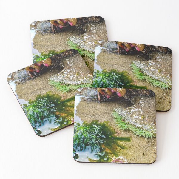 Item preview, Low Tide designed and sold by OddLilFox.