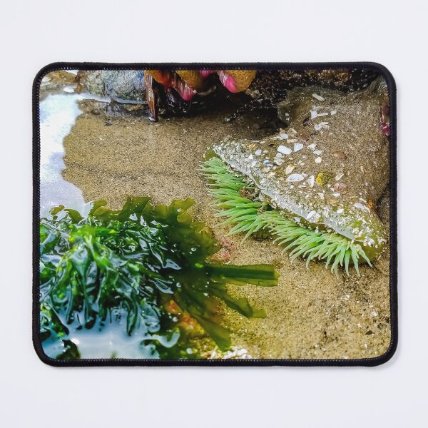 Item preview, Low Tide designed and sold by OddLilFox.