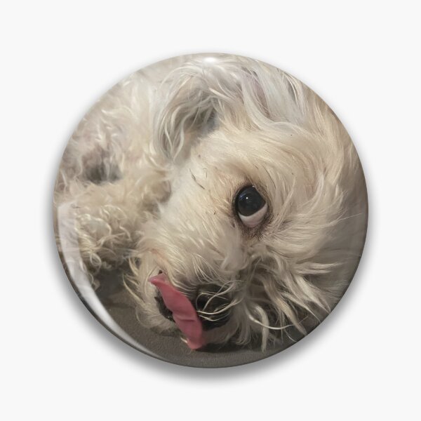 Item preview, Fluffy Dog Lick Photo designed and sold by MoonOcean.