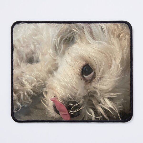 Item preview, Fluffy Dog Lick Photo designed and sold by MoonOcean.