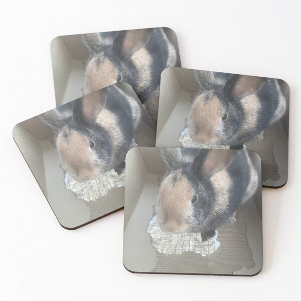 Item preview, Bunny in box designed and sold by Puregel.