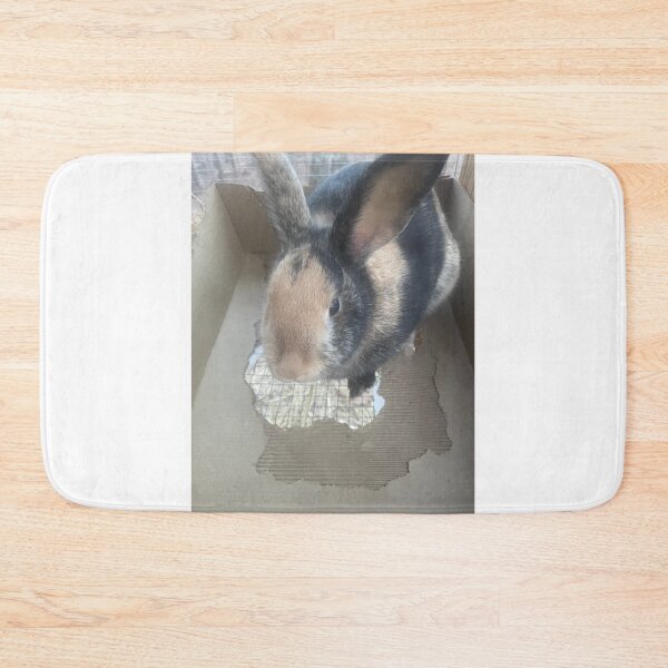 Item preview, Bunny in box designed and sold by Puregel.