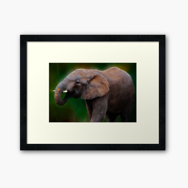 Item preview, Being An Elephant designed and sold by laureenr.