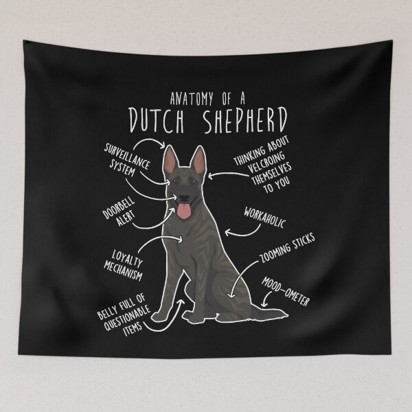 Item preview, Dutch Shepherd Dog Anatomy designed and sold by Clara Hollins.