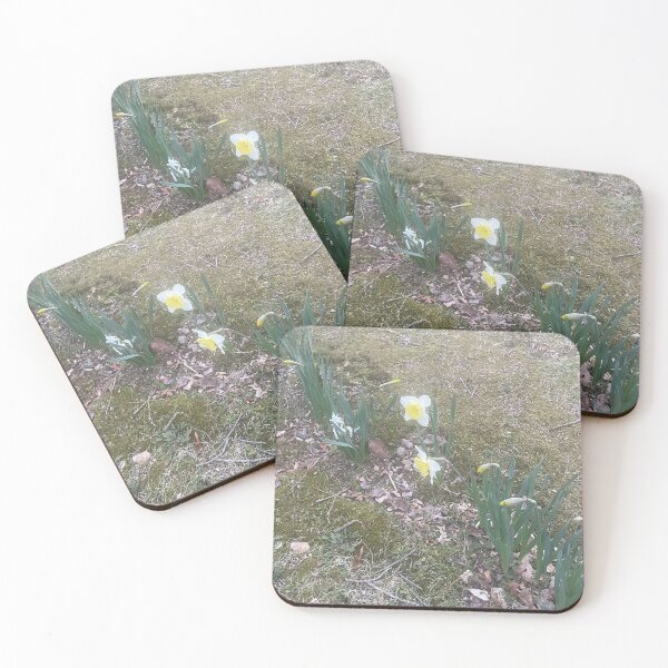 Item preview, White flowers designed and sold by MoonOcean.
