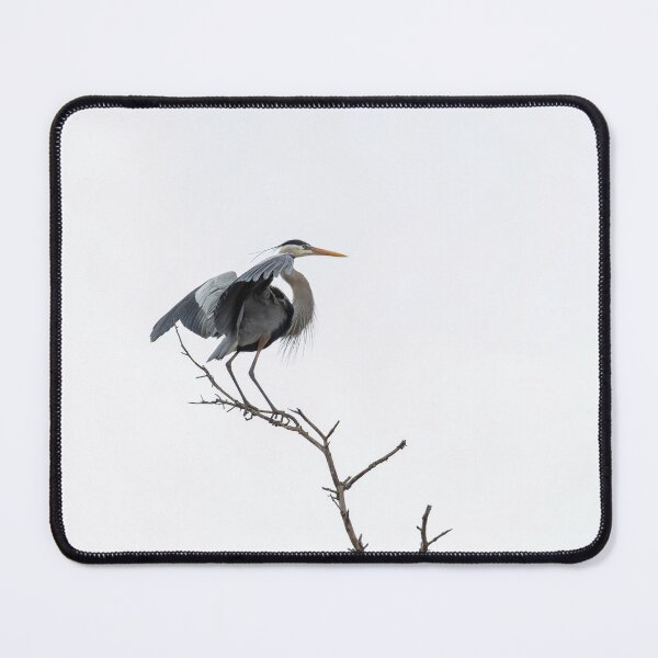 Item preview, Great Blue Heron 4-10-2026 designed and sold by Thomasyoung.