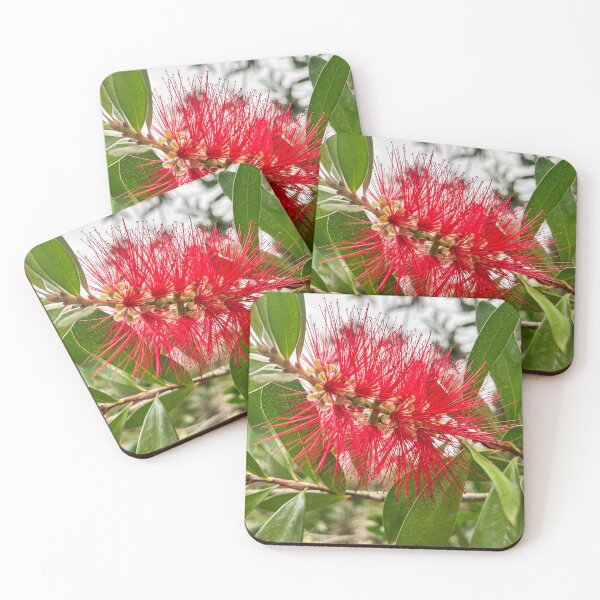 Item preview, Crimson Bottlebrush Native Flower designed and sold by Be Captured by Brittany Emma.