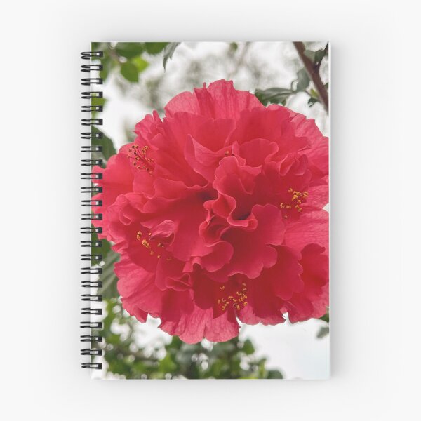 Item preview, Deep Red Camellia Floral Bloom designed and sold by Be Captured by Brittany Emma.
