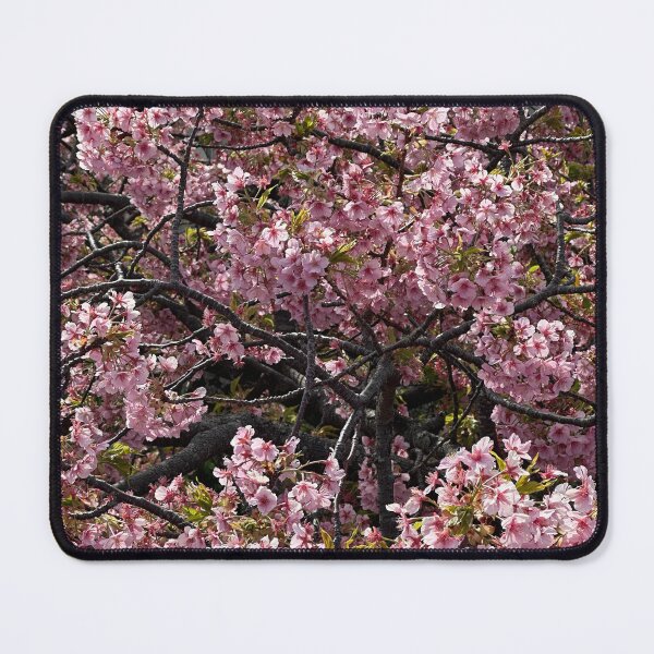 Item preview, Kawazu Cherry Blossoms designed and sold by alexisnazitto.