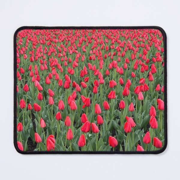 Item preview, Red tulips designed and sold by alexisnazitto.