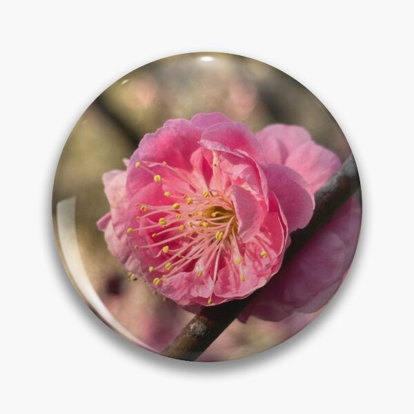 Item preview, Plum blossom designed and sold by alexisnazitto.
