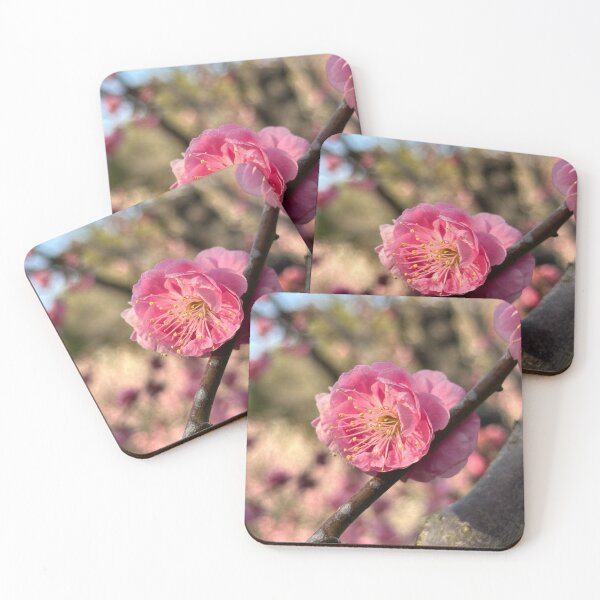 Item preview, Plum blossom designed and sold by alexisnazitto.