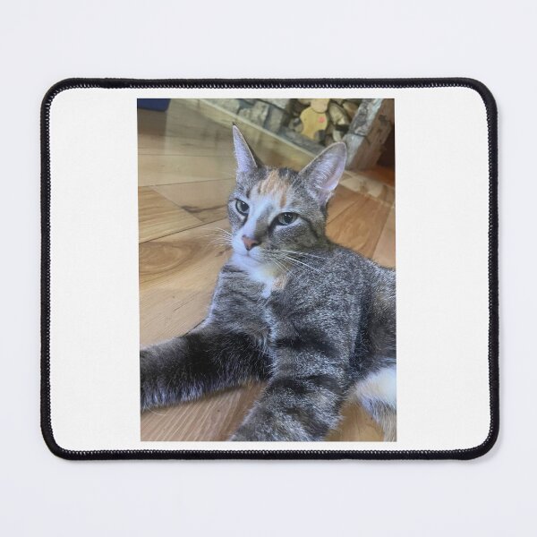 Item preview, Cat stare designed and sold by Puregel.