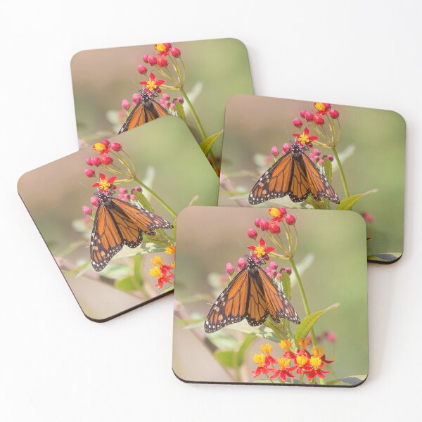 Item preview, Monarch Butterfly on Milkweed designed and sold by CarolM.