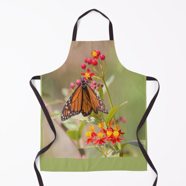 Item preview, Monarch Butterfly on Milkweed designed and sold by CarolM.