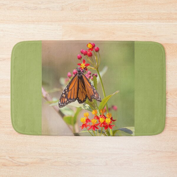 Item preview, Monarch Butterfly on Milkweed designed and sold by CarolM.