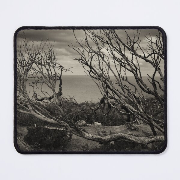 Item preview, After the Fire designed and sold by stephendean.