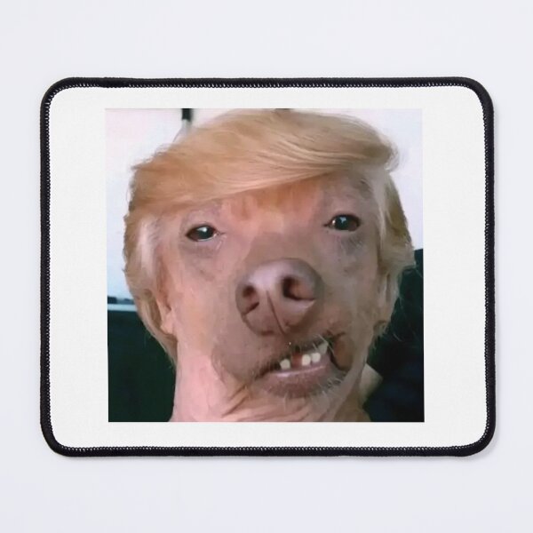 Item preview, trump Chihuahua dog designed and sold by cloudzer0000.