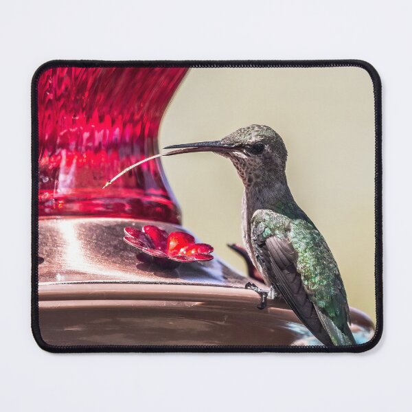 Item preview, Anna's Hummingbird With It's Tongue Out designed and sold by CarolM.