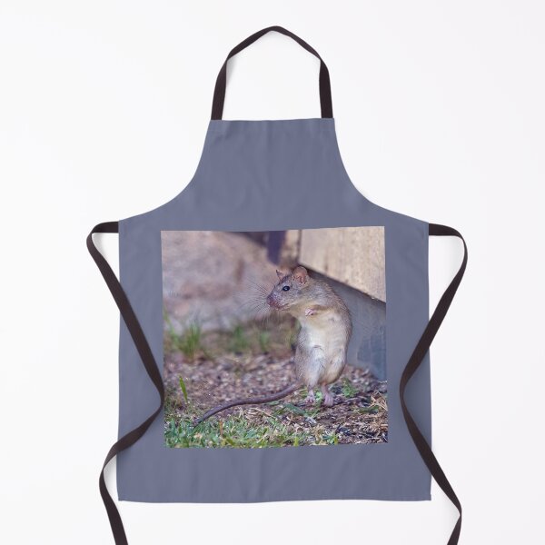 Item preview, Rat Snack designed and sold by CarolM.